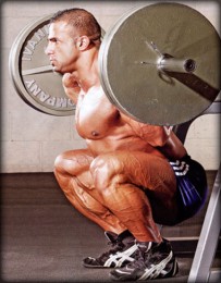barbell squats